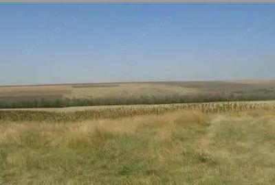 Teren Extravilan cota parte 1/4, Varlezi, ID: R2730256 - 8