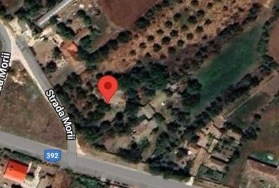 Casă cu 3 camere în General Scărișoreanu - 1