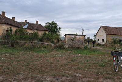 Casă individuală cu 3 camere cu Teren 2880 Mp în Zărand - 2