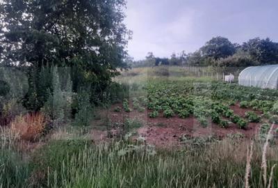 Casa de vanzare Cri?telec Casa de vanzare Cri?telec - 10