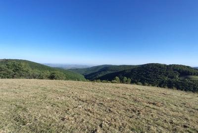 Spațiu comercial, în Râmeț - 10