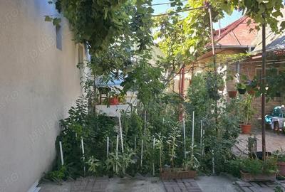 Casă cu 6 camere cu Teren 230 Mp în Viile Noi - 2