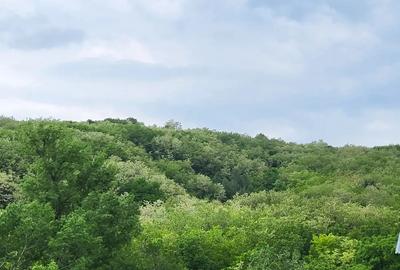 Vanzare casa ?i teren - 5