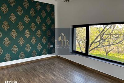 Casă cu 4 camere cu Teren 1500 Mp în Ciurea - 5