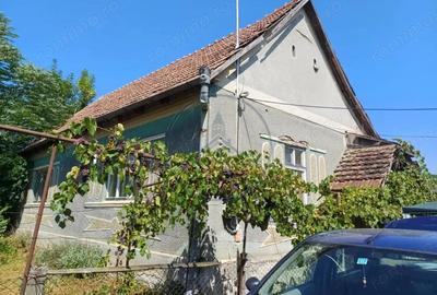 Casă cu 3 camere cu Teren 1400 Mp în Central - 3