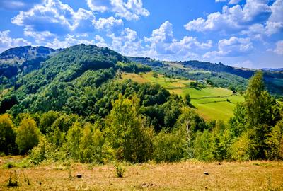 CASA TRADITIONALA, ANEXE si 46.980 mp teren partial INTRAVILAN BULZ - BIHOR - 18