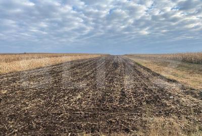 Teren de 750 mp, în Central