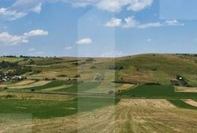 Teren de 1200 mp, în Borhanci - 2