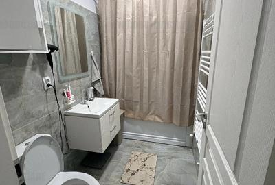 Apartament cu 2 camere decomandat în Braytim - 3