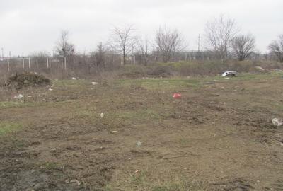 Teren Construcții intravilan de 8245 mp, în Bragadiru - 6