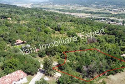 Teren de 2270 mp, în Valea Brazilor - 10