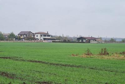 Teren de 3000 mp, în Brănești - 3