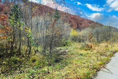 Teren 4,877mp Mara / Strada Principala - 3