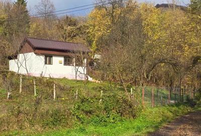 Casa de vacanta zona de padure, Trestioara Prahova - 5