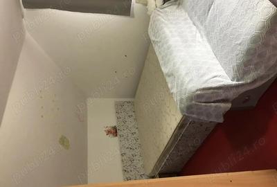 Proprietar inchiriez casa cartierul Plopi Timisoara - 14