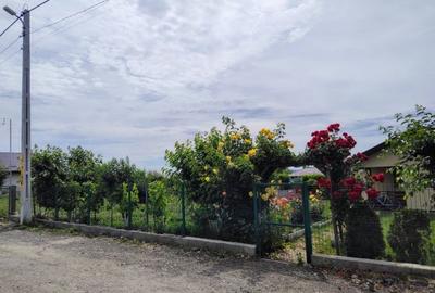 Casa de vacanta Dealul-Viei - 6