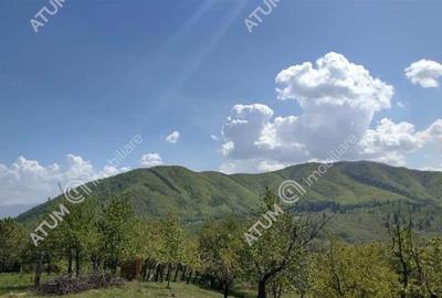 Teren intravilan 2039 mp situat in Cisnadioara din Sibiu - 3