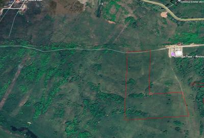 Teren agricol extravilan de vânzare – 67.500 mp – Dealul Daii, Sibiu - 4