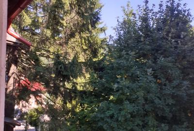 Apartament in vilă+garsoniera+teren centru - 15