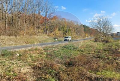 Teren intravilan de vanzare in Hidiselul de Jos, jud.Bihor - 11