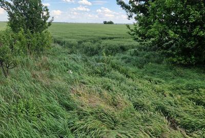 Spațiu comercial, în Central - 4