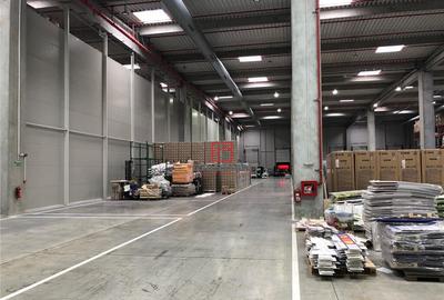 Depozit/hala/spatiu industrial Mogosoaia - Centura, Ilfov - 18