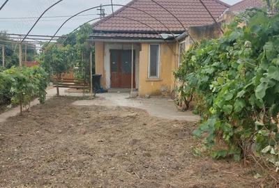 Casă cu 3 camere în Biled - 5