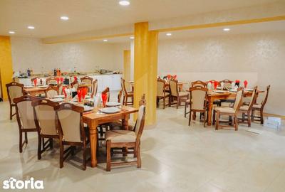 Spațiu comercial, de 910 mp, în Roșia Montană - 8