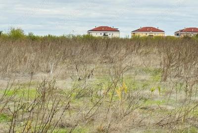 Teren de 15895 mp, în Chitila