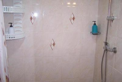 Garsonieră în Kiseleff - 2