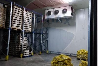 Spațiu industrial, de 4,600 mp, în Afumați - 2