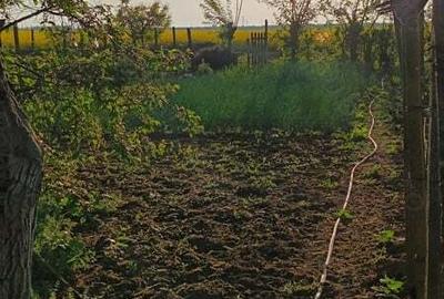 Casă cu 4 camere în Central - 3