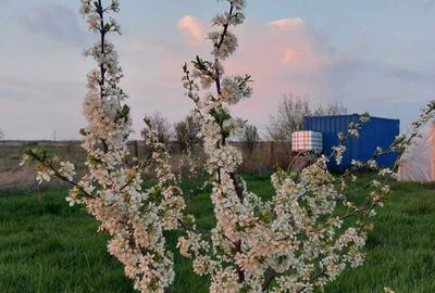 Spațiu comercial, în Urseni - 7