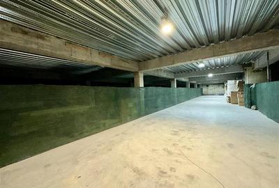 Spațiu industrial, de 1,000 mp, în Prelungirea Ghencea - 3