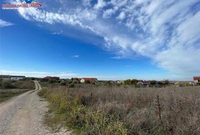 Teren intravilan in Mineri - 4