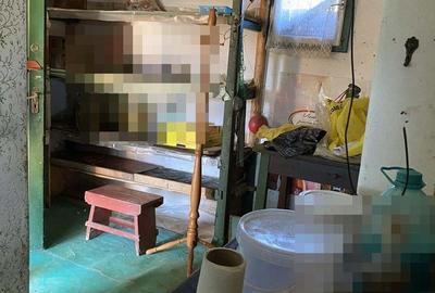 Casă cu 1 camere cu Teren 4400 Mp în Păsăreni - 5