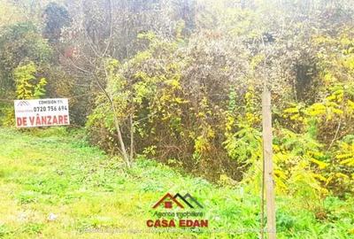 Teren intravilan in Campina--1722 mp--32e - 1