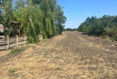 Teren agricol intravilan de 4800 mp, în Sălciile - 5