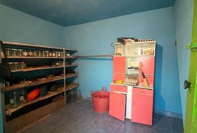 Casă cu 4 camere cu Teren 1430 Mp în Liebling - 9