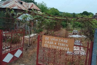 Casă în Tetoiu - 2