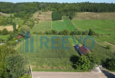 Teren intravilan de vanzare, Sat Bogdan?ti, Com. Traian - 15