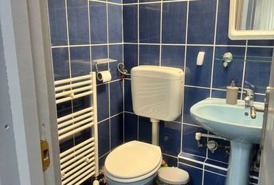 Apartament cu 3 camere decomandat, mobilat în Gorjului - 8