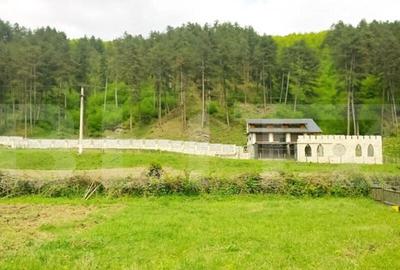 Casa individuala la rosu, 247 mp, teren 5000 mp in Surduc - 2