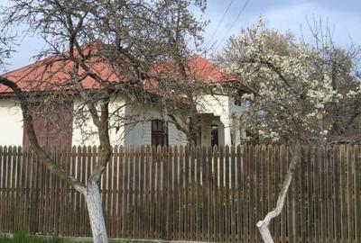 Teren Construcții intravilan de 2500 mp, în Dealu Bradului - 2