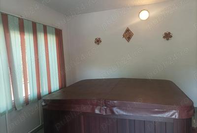 Vila- p+m- zona Zavoi Deva - 8