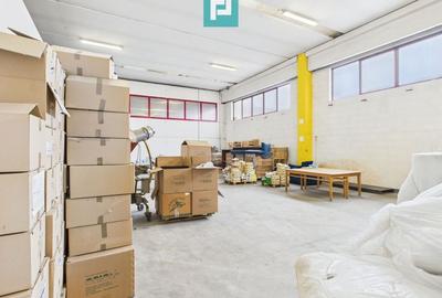 Hală de producție, cu birouri și teren, în Sebiș - 23