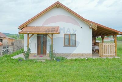 Teren Construcții intravilan de 2551 mp, în Acriș - 1