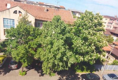 Garsonieră decomandată în Kiseleff - 1