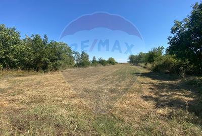 Teren de vanzare, 25km de Bucuresti, Sinesti, loc. Lilieci - 1