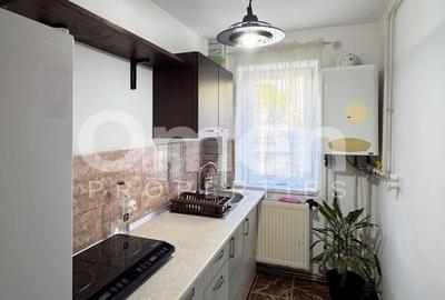 Apartament cu 2 camere semidecomandat, mobilat în Săsar - 6